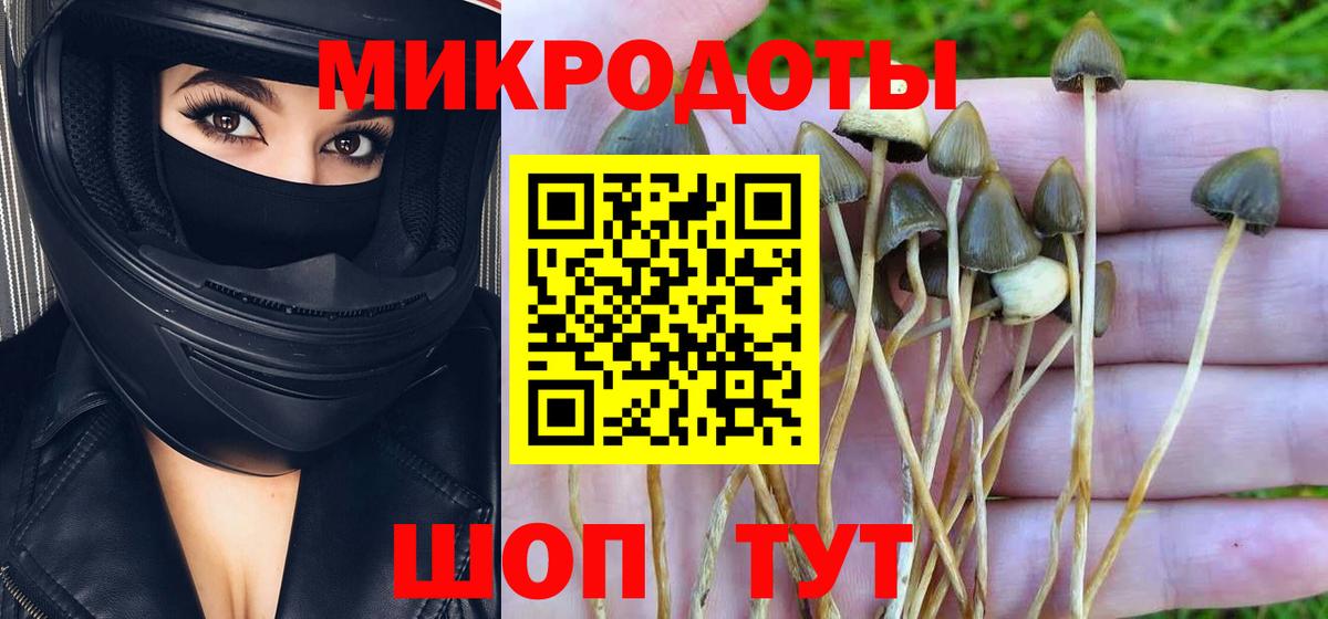 Галлюциногенные грибы Cubensis  Вход с VPN  Тара 
