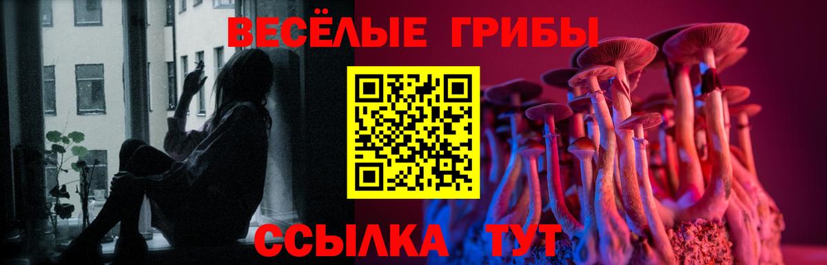 Галлюциногенные грибы мицелий Тара
