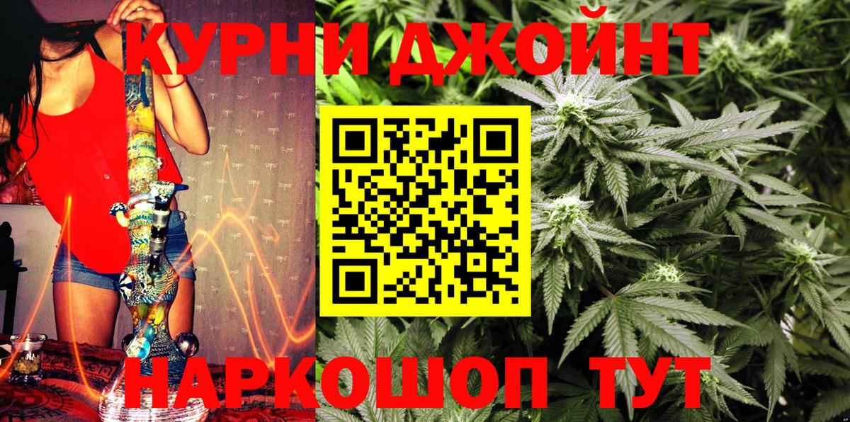 Бошки Шишки гибрид Тара
