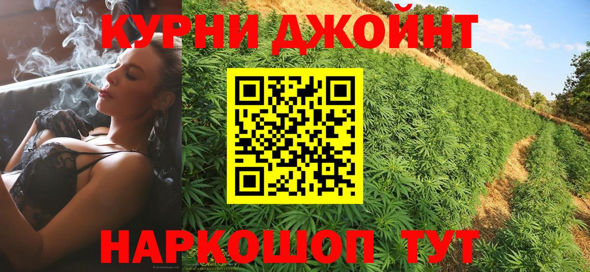 МАРИХУАНА планчик  Марихуана Ganja  Тара  Каннабис семена  Вход с VPN  Канабис гибрид 